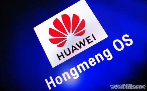 鸿蒙怎么下载欧易_欧易交易所官网登录不了